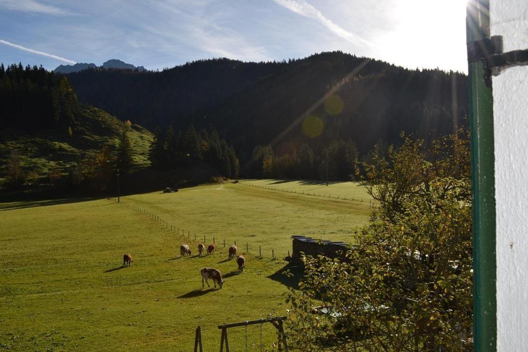 Ferienwohnungen Foidlhof Хохфильцен Экстерьер фото